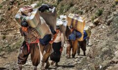 آغاز واردات کولبری در ۳ شهرستان آذربایجان غربی/ قانون تجارت مرزی در پنج استان کشور اجرایی می‌شود