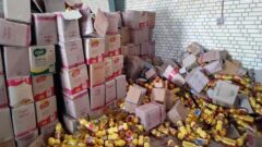 قاچاق روغن در بازارچه مرزی «پیشین» چابهار کشف شد